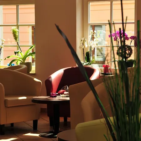 Отель Hotel Mueritzterrasse 3*